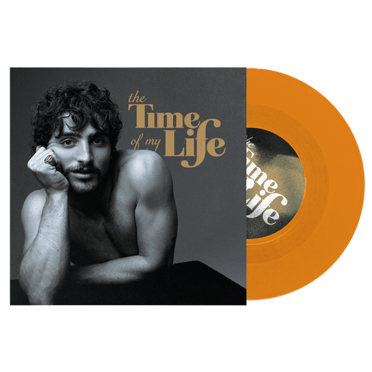The Time Of My Life - 45 tours